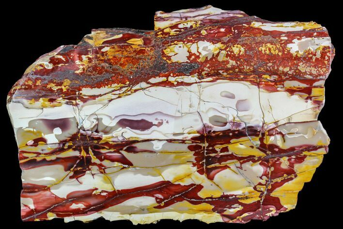 Stunning, Polished Mookaite Jasper Slab - Australia #112034